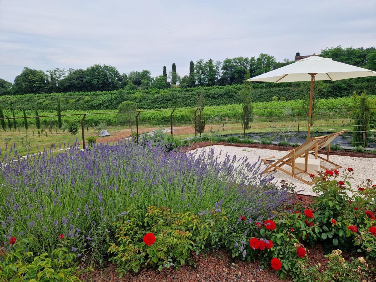 Relais Ca' Morenica Valeggio sul Mincio Luaran gambar