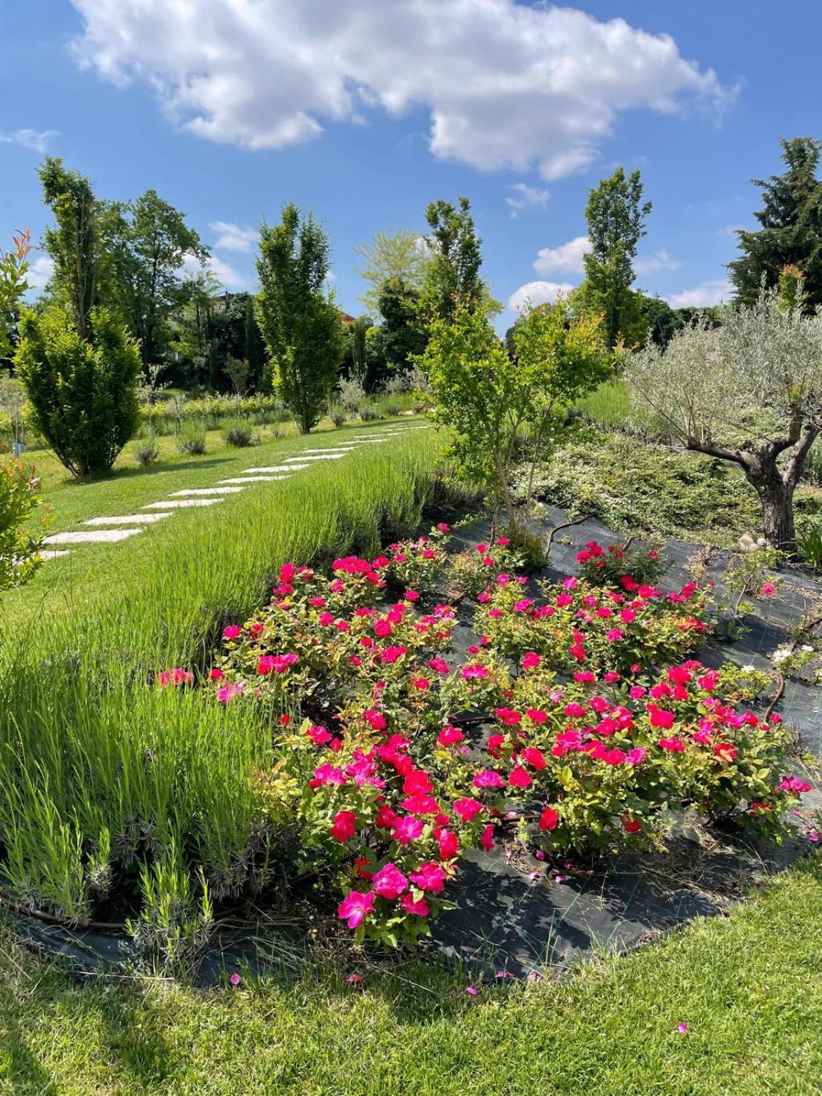 Relais Ca' Morenica Valeggio sul Mincio Luaran gambar