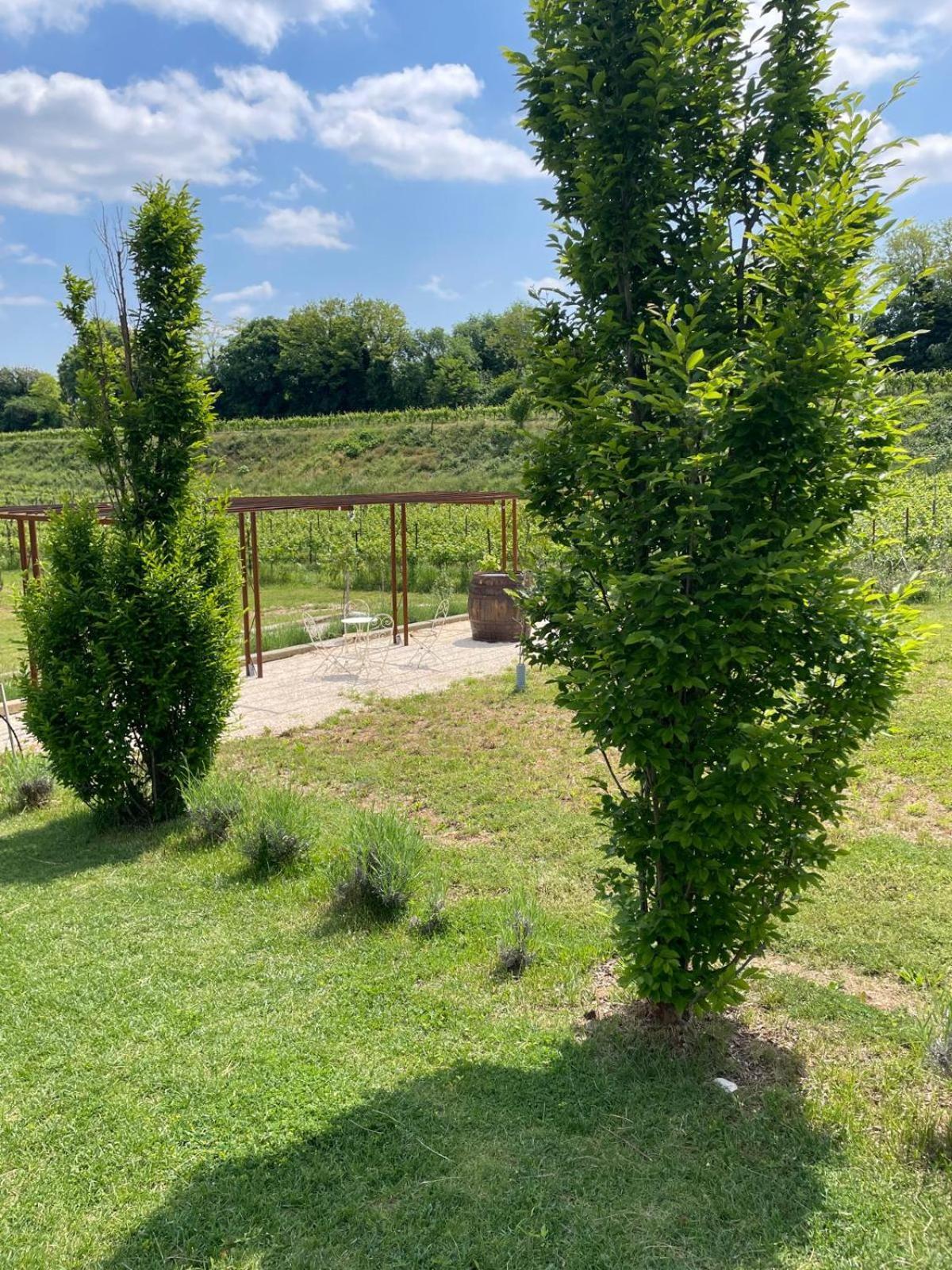 Relais Ca' Morenica Valeggio sul Mincio Luaran gambar